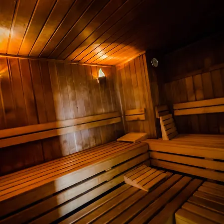 Hotell Naturhotel Sachsenbaude - Indoor-pool & Outdoor-whirlpool