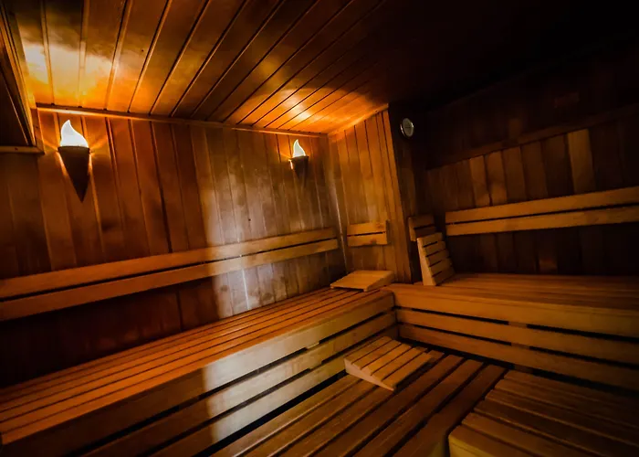 Hotel Naturhotel Sachsenbaude - Indoor-pool & Outdoor-whirlpool