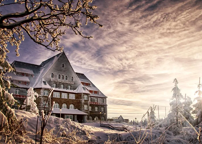 فندق Naturhotel Sachsenbaude - Indoor-pool & Outdoor-whirlpool كورورت اوبرويسنثا